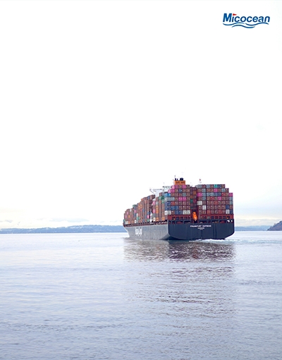 最新消息：WHL 、ONE 等多家船公司調(diào)整航線！涉及南美、東南亞和西非!