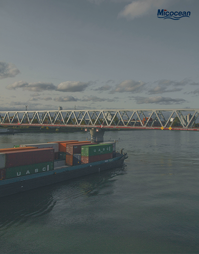 航運巨頭MSC宣布要停航？