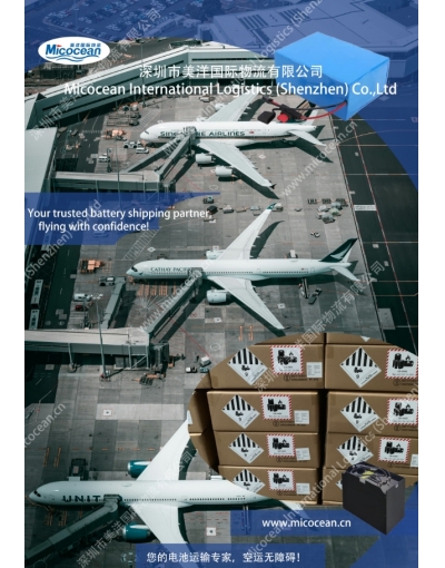 上海電池雙清國際物流專業(yè)代理